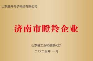 济南市瞪羚企业